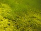 2009-08-01 14-15-11S